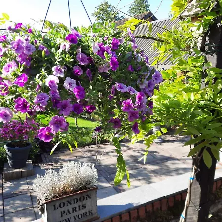 Anneke's Bed En Botterhammeke