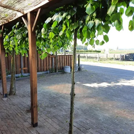 Anneke's Bed En Botterhammeke Проживание в семье Woensdrecht