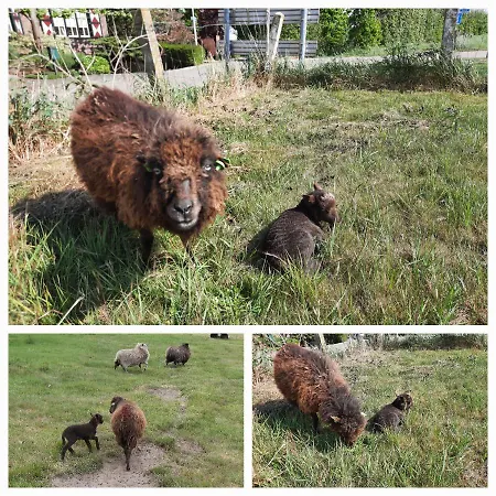 Anneke's Bed En Botterhammeke Hotel