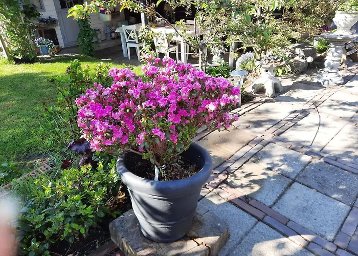 ホテル Anneke's Bed En Botterhammeke Woensdrecht