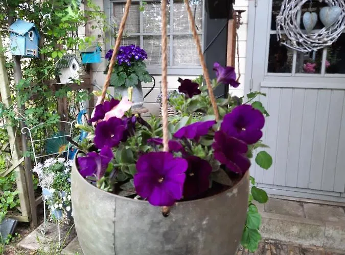 ホテル Anneke's Bed En Botterhammeke