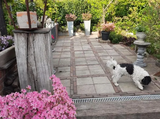 ホテル Anneke's Bed En Botterhammeke *