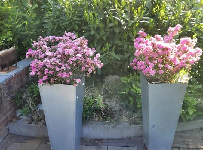 ホテル Anneke's Bed En Botterhammeke *