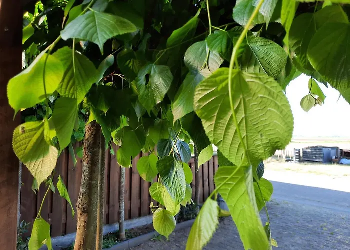 Anneke's Bed En Botterhammeke * Woensdrecht