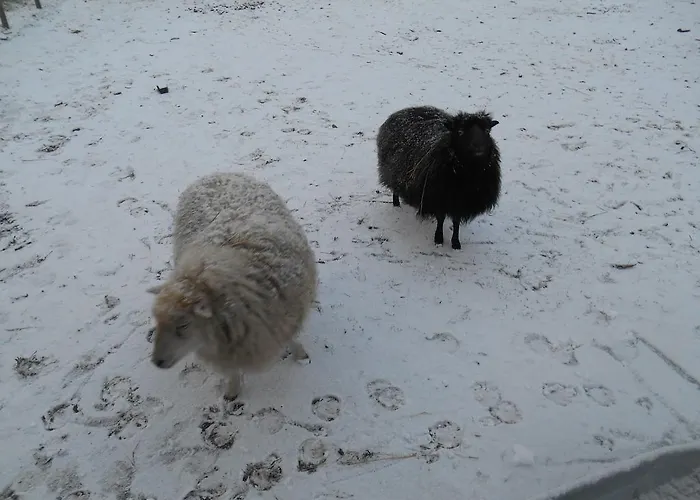 Anneke's Bed En Botterhammeke