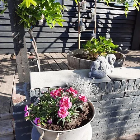 Anneke's Bed En Botterhammeke Hotel *