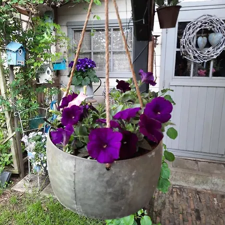 Hotel Anneke's Bed En Botterhammeke