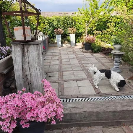 Hotel Anneke's Bed En Botterhammeke *