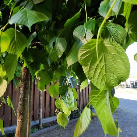 Anneke's Bed En Botterhammeke * Woensdrecht