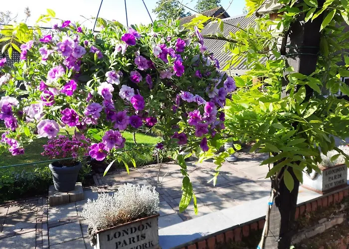 Anneke's Bed En Botterhammeke