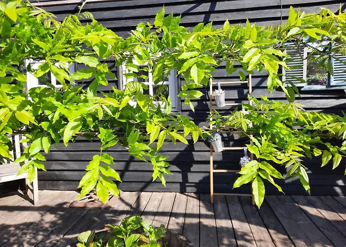 Anneke's Bed En Botterhammeke Woensdrecht