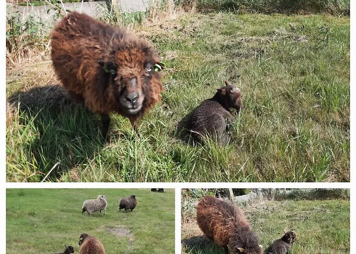 Anneke's Bed En Botterhammeke Hotel