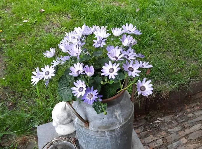 Hotel Anneke's Bed En Botterhammeke *