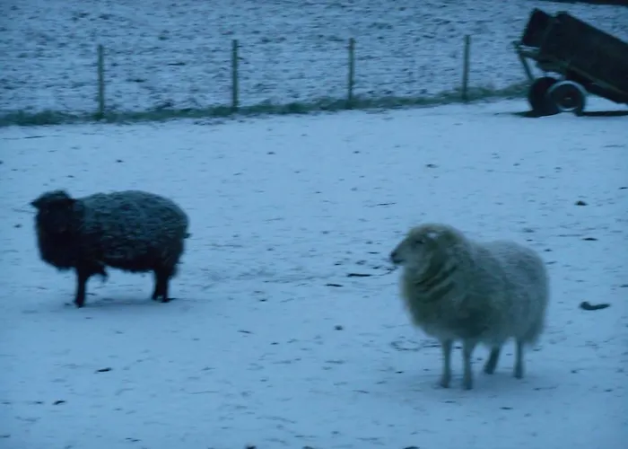 Anneke's Bed En Botterhammeke Hotel Woensdrecht